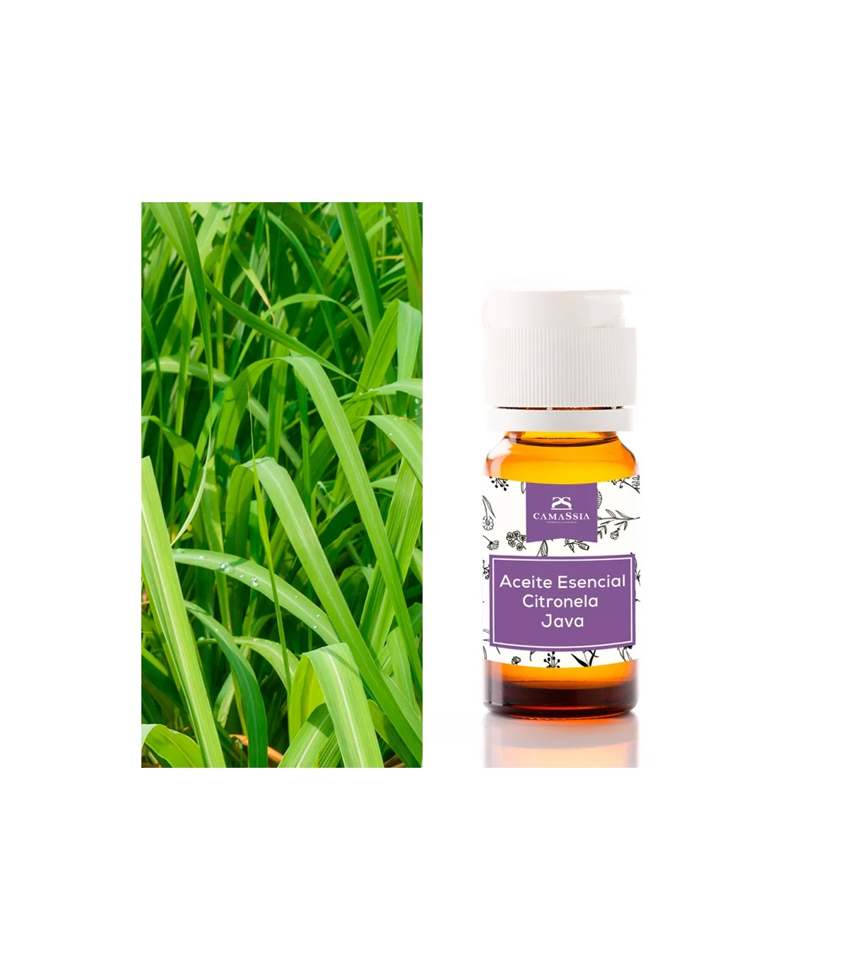 Aceite esencial CITRONELA JAVA