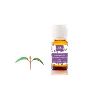 Aceite esencial EUCALIPTO Citrodora BIO