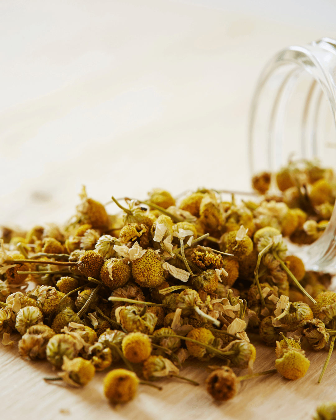 Manzanilla Dulce Europea - Imagen 2